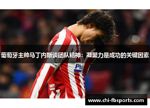 葡萄牙主帅马丁内斯谈团队精神：凝聚力是成功的关键因素