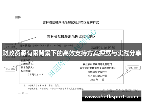 财政资源有限背景下的高效支持方案探索与实践分享 财政资源有限背景下的高效支持方案探索与实践分享